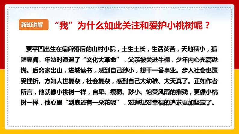 第19课《一颗小桃树》（第二课时） 课件+教案+练习+学案03