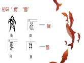 部编版八年级语文下册课件----《北冥有鱼》
