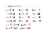 人教版（部编版）初中语文八年级下册 第四单元 复习  课件