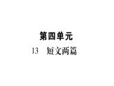 人教版（部编版）初中语文九年级下册  第四单元  复习  课件