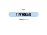 第6单元 21《智取生辰纲》课件PPT