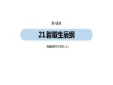 第6单元 21《智取生辰纲》课件PPT