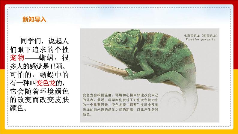 第6课 《变色龙》（课件+教案+导学案+同步练习）03