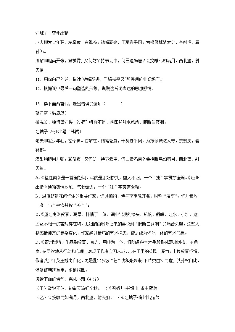 《江城子·密州出猎》练习第3页