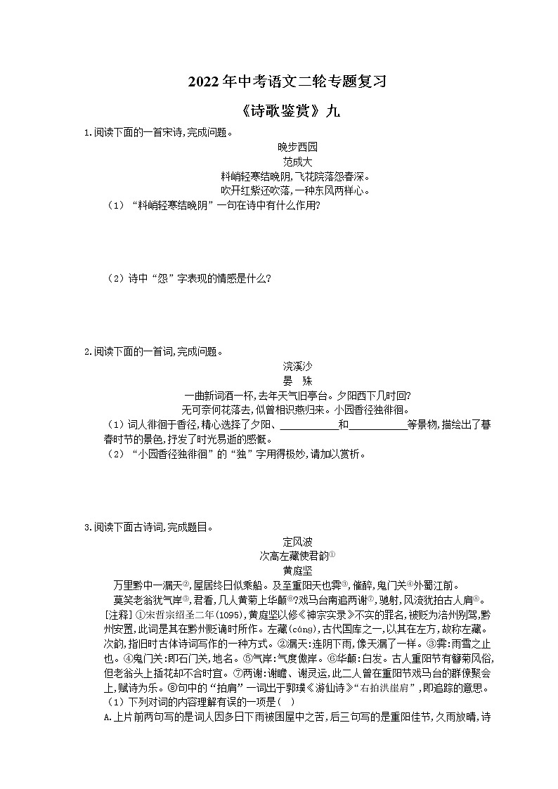 2022年中考语文二轮专题复习《诗歌鉴赏》九(含答案)第1页