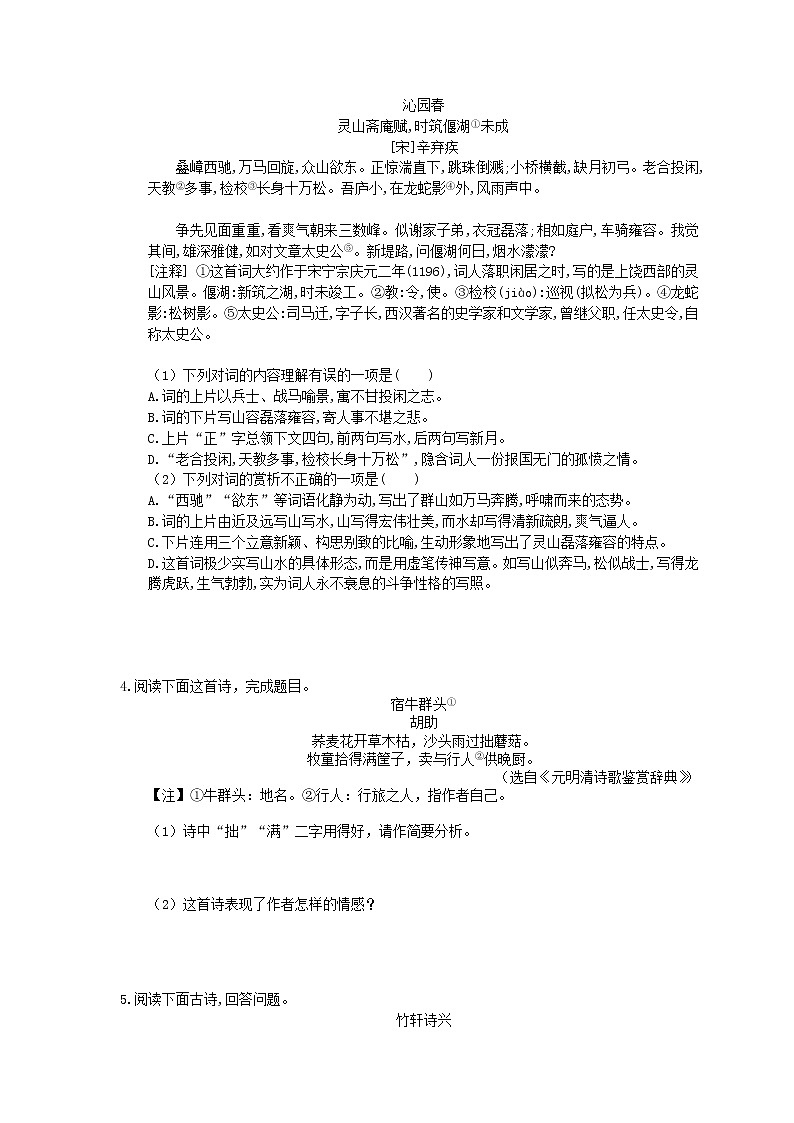 2022年中考语文二轮专题复习《诗歌鉴赏》十(含答案)第2页