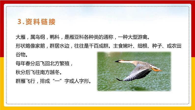 第7课《大雁归来》课件+教案+练习+学案PPT06