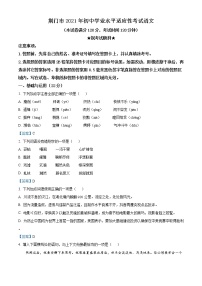 2021年湖北省荆门市初中学业水平适应性考试语文试题及答案