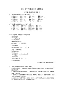 2022年中考语文二轮专题复习《字音字形与词语》二(含答案)