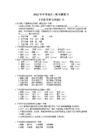 2022年中考语文二轮专题复习《字音字形与词语》六(含答案)
