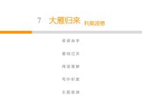 人教部编版八年级下册大雁归来优质教学ppt课件