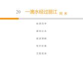 人教部编版八年级语文下册教学课件：第5单元 20 一滴水经过丽江(共41张PPT)
