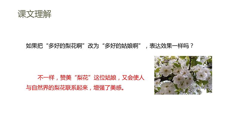 15.驿路梨花 第2课时-人教部编版语文七年级下册同步教学课件第7页