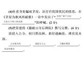 人教部编版八年级语文下册教学课件：单元水平达标测试卷4(共56张PPT)