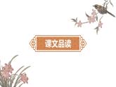 3.回忆鲁迅先生 第2课时-人教部编版语文七年级下册同步教学课件