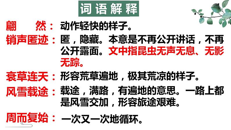 第5课《大自然的语言》课件  部编版语文八年级下册第8页