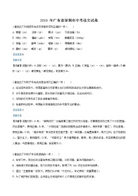 2019年广东省深圳市中考语文试题（解析版）