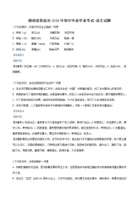 2019年湖南省娄底市中考语文试题（解析版）