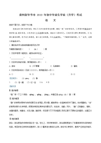 2019年贵州省毕节市中考语文试题（解析版）