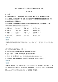 2019年湖北省咸宁市 中考语文试题（解析版）