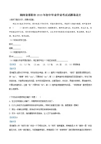 2019年湖南省邵阳市中考语文试题（解析版）