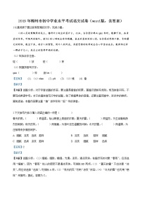 2019年湖南省郴州市中考语文试题（解析版）