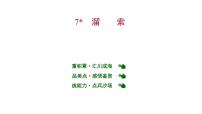 语文人教部编版7* 溜索授课ppt课件