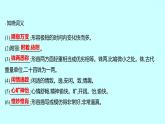 2022 人教版语文 九年级下册 第 四 单 元 第15课﹡无 言 之 美 课件