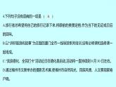 2022 人教版語文 九年級下冊 單元質(zhì)量達標（四） 課件