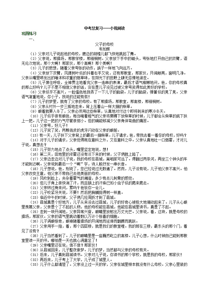 中考语文总复习——小说阅读 巩固练习01