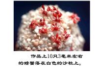 初中语文人教部编版八年级下册核舟记课文配套课件ppt