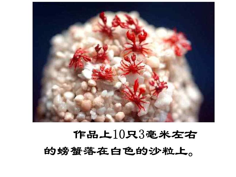 部编版八下语文《核舟记》课件PPT第1页