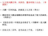 部编版八下语文 《北冥有鱼》课件
