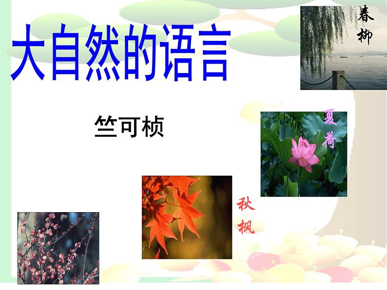 部编版八下语文《大自然的语言》ppt03