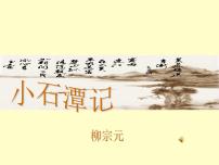 人教部编版10 小石潭记课堂教学课件ppt