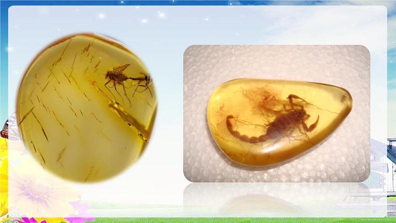 部编版八下语《 时间的脚印》课件PPT06