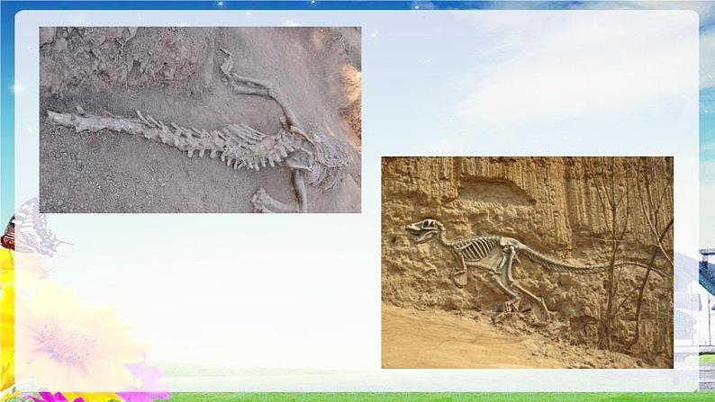 部编版八下语《 时间的脚印》课件PPT07