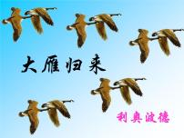 2020-2021学年大雁归来课文配套ppt课件
