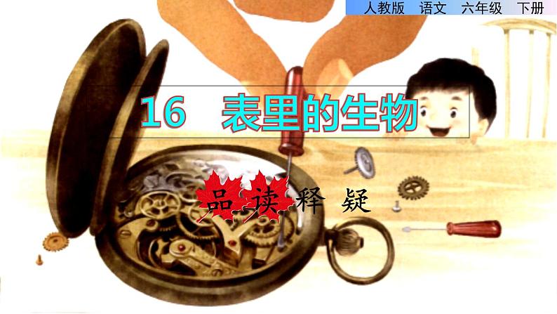 13.表里的生物 品读释疑课件第1页