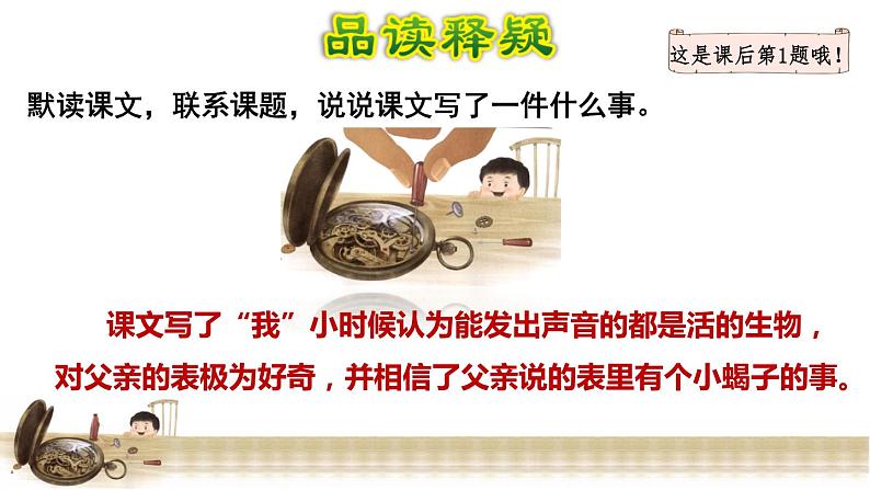 13.表里的生物 品读释疑课件第3页