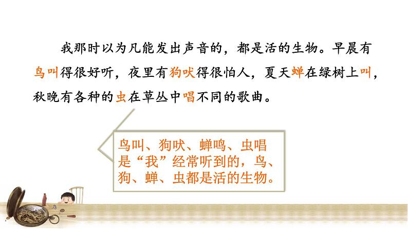 13.表里的生物 品读释疑课件第7页