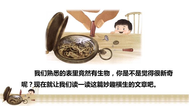 13表里的生物 初读感知课件第3页