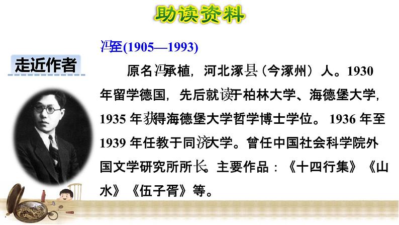 13表里的生物 初读感知课件第4页