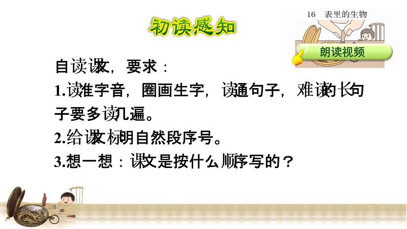 13表里的生物 初读感知课件第5页