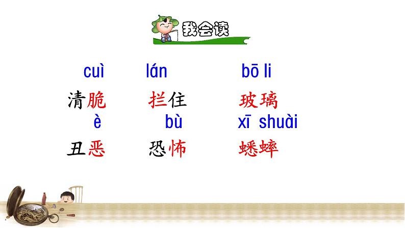 13表里的生物 初读感知课件第6页