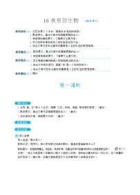 六年级下册(2018)13 表里的生物教案