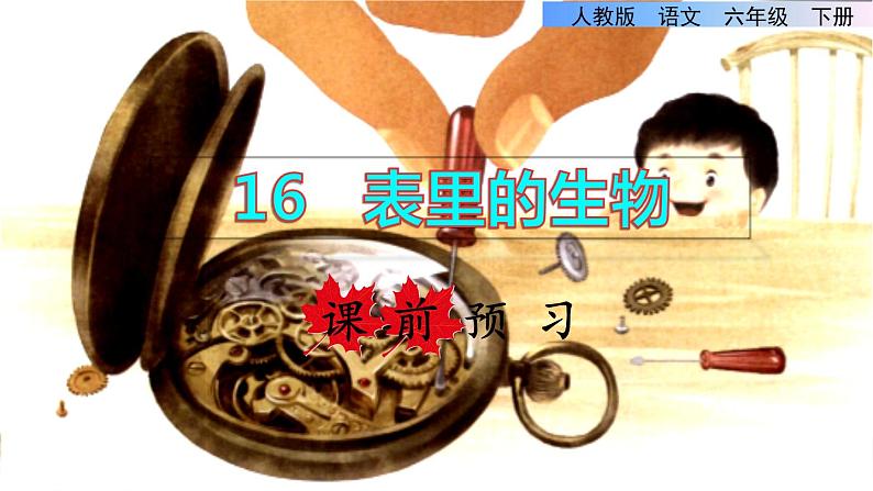 13.表里的生物 课前预习课件01