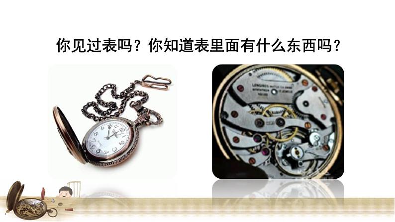 13.表里的生物 课前预习课件02