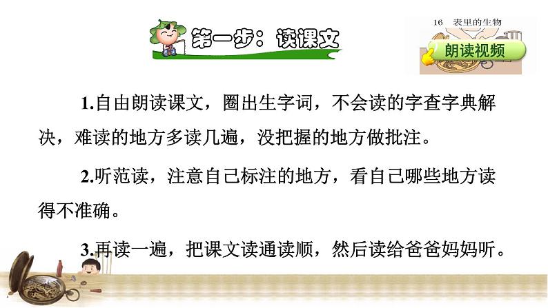 13.表里的生物 课前预习课件05