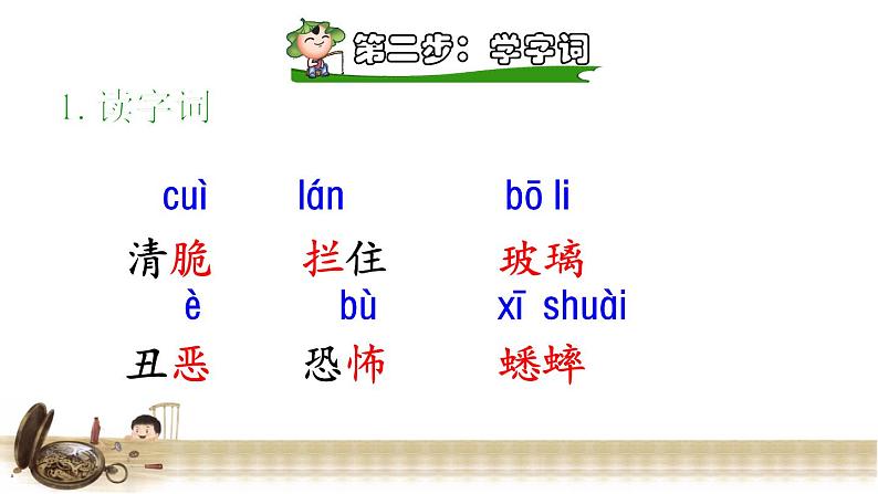 13.表里的生物 课前预习课件06